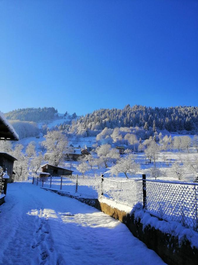 Анничка Villa Khorotseve Kültér fotó